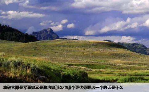 拿破仑即是军事家又是政治家那么他哪个更优秀呢选一个的话是什么