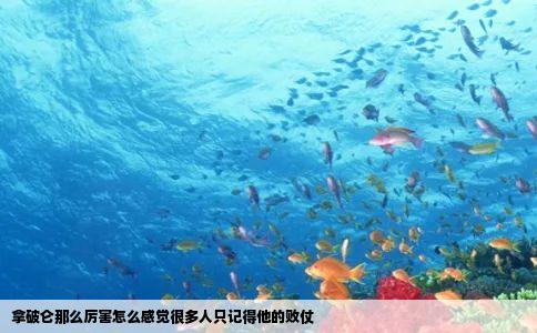 拿破仑那么厉害怎么感觉很多人只记得他的败仗
