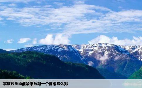 拿破仑全面战争中后期一个满编怎么排