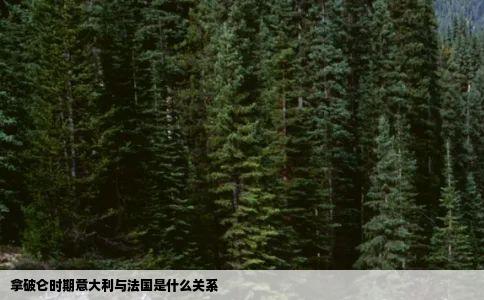 拿破仑时期意大利与法国是什么关系