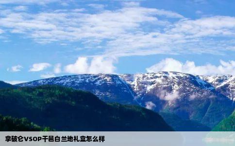 拿破仑VSOP干邑白兰地礼盒怎么样