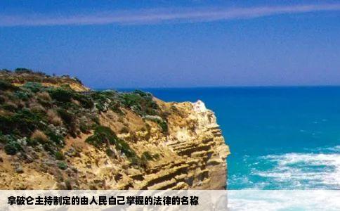 拿破仑主持制定的由人民自己掌握的法律的名称