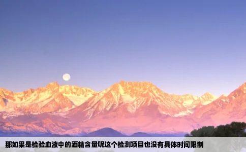 那如果是检验血液中的酒精含量呢这个检测项目也没有具体时间限制