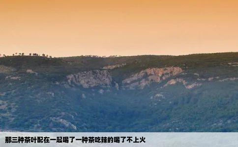 那三种茶叶配在一起喝了一种茶吃辣的喝了不上火