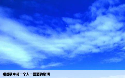哪首歌中带一个人一壶酒的歌词