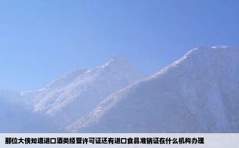 那位大侠知道进口酒类经营许可证还有进口食品准销证在什么机构办理