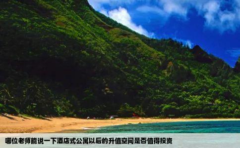 哪位老师能说一下酒店式公寓以后的升值空间是否值得投资