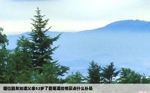 哪位朋友知道父亲52岁了爱喝酒给他买点什么补品