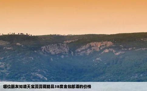 哪位朋友知道天宝洞洞藏精品38度金包郎酒的价格