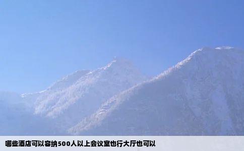 哪些酒店可以容纳500人以上会议室也行大厅也可以