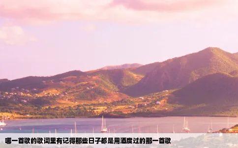 哪一首歌的歌词里有记得那些日子都是用酒度过的那一首歌