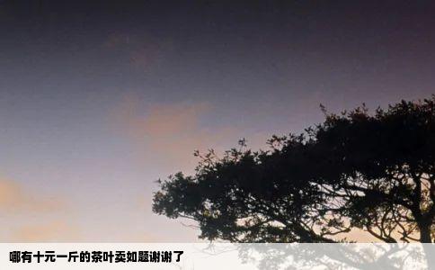 哪有十元一斤的茶叶卖如题谢谢了