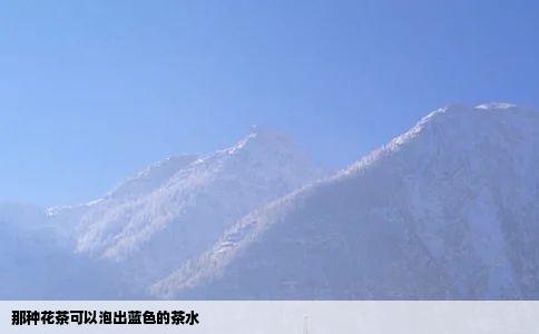那种花茶可以泡出蓝色的茶水