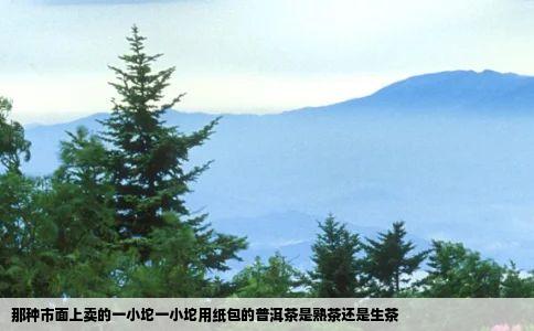 那种市面上卖的一小坨一小坨用纸包的普洱茶是熟茶还是生茶