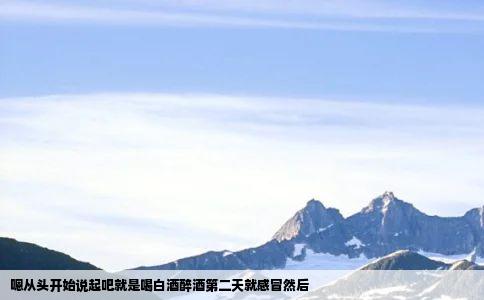 嗯从头开始说起吧就是喝白酒醉酒第二天就感冒然后