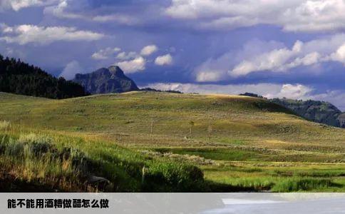 能不能用酒糟做醋怎么做
