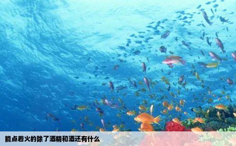 能点着火的除了酒精和酒还有什么