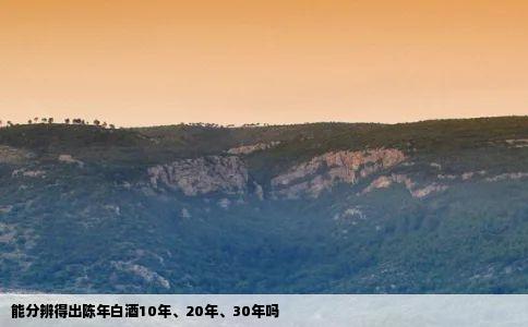 能分辨得出陈年白酒10年20年30年吗