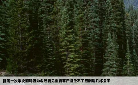能喝一次半次酒吗因为今晚要见重要客户避免不了应酬喝几杯会不