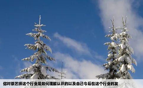 你对茶艺师这个行业是如何理解认识的以及自己今后在这个行业的发