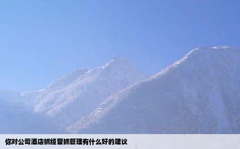 你对公司酒店抓经营抓管理有什么好的建议