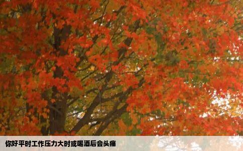 你好平时工作压力大时或喝酒后会头痛