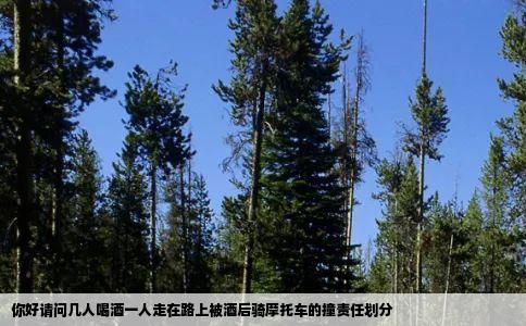 你好请问几人喝酒一人走在路上被酒后骑摩托车的撞责任划分