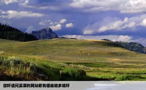 你好请问卖酒的网站都有哪些越多越好