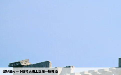 你好请问一下我今天晚上想喝一瓶啤酒