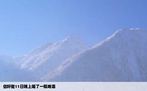 你好我11日晚上喝了一瓶啤酒