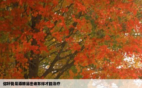 你好我是酒糟鼻患者怎样才能治疗