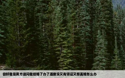 你好我是男方请问我结婚了办了酒席没又有领证又想离婚怎么办