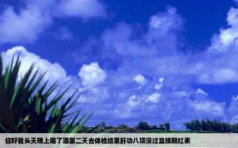 你好我头天晚上喝了酒第二天去体检结果肝功八项没过直接胆红素