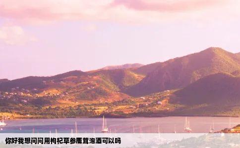 你好我想问问用枸杞草参鹿茸泡酒可以吗