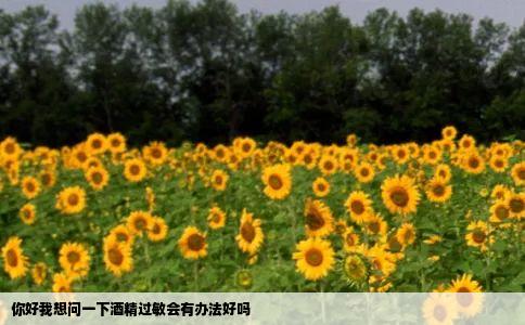 你好我想问一下酒精过敏会有办法好吗