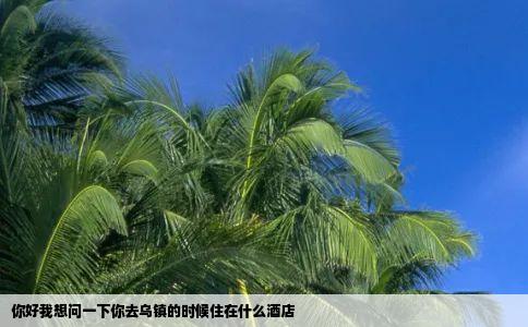 你好我想问一下你去乌镇的时候住在什么酒店