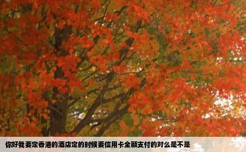 你好我要定香港的酒店定的时候要信用卡全额支付的对么是不是