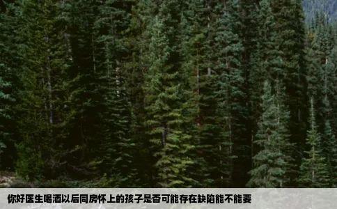 你好医生喝酒以后同房怀上的孩子是否可能存在缺陷能不能要