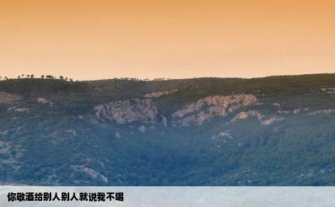 你敬酒给别人别人就说我不喝