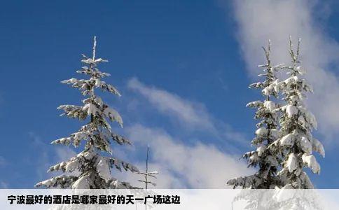 宁波最好的酒店是哪家最好的天一广场这边