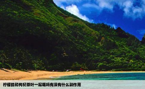 柠檬能和枸杞茶叶一起喝吗有没有什么副作用