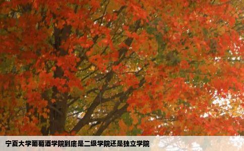 宁夏大学葡萄酒学院到底是二级学院还是独立学院