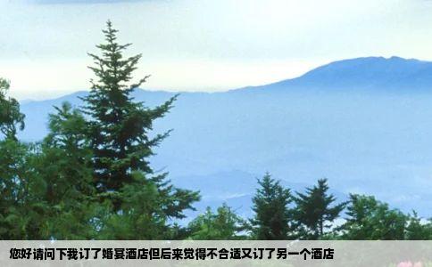 您好请问下我订了婚宴酒店但后来觉得不合适又订了另一个酒店