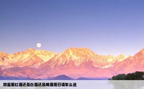 您需要红酒还是白酒还是啤酒用日语怎么说