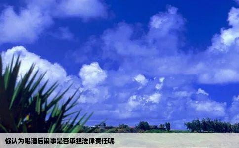 你认为喝酒后闹事是否承担法律责任呢