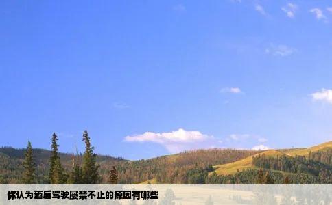 你认为酒后驾驶屡禁不止的原因有哪些