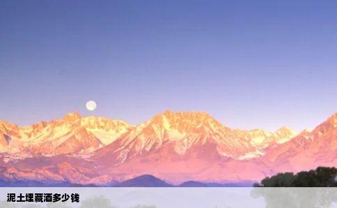 泥土埋藏酒多少钱