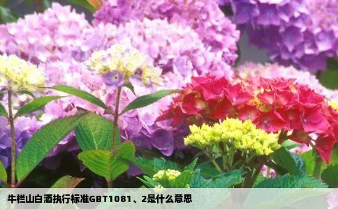 牛栏山白酒执行标准GBT10812是什么意思