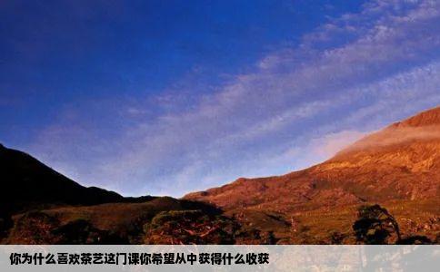 你为什么喜欢茶艺这门课你希望从中获得什么收获