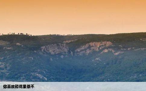 你喜欢和花果茶不